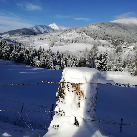 Holmbauer Panoramablick *