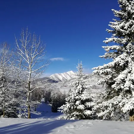 Holmbauer Panoramablick 아파트 *