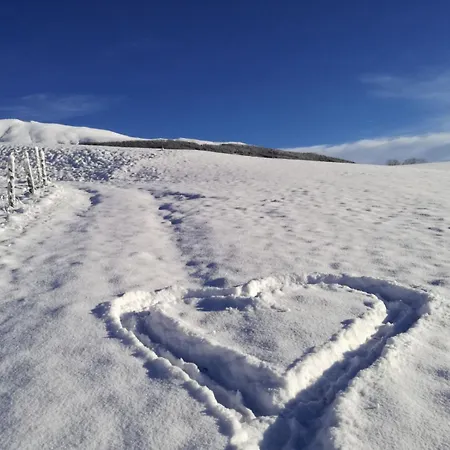 Holmbauer Panoramablick 아파트 *