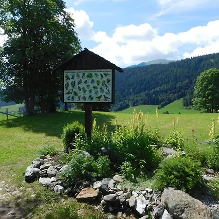 Holmbauer Panoramablick * Ober-Etrach