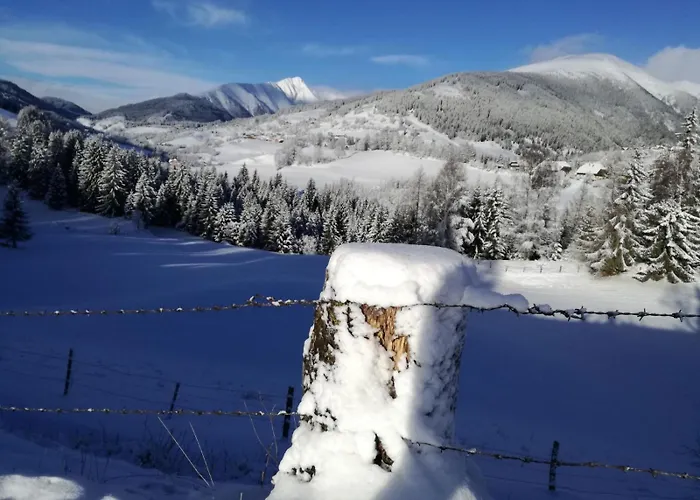 Holmbauer Panoramablick *